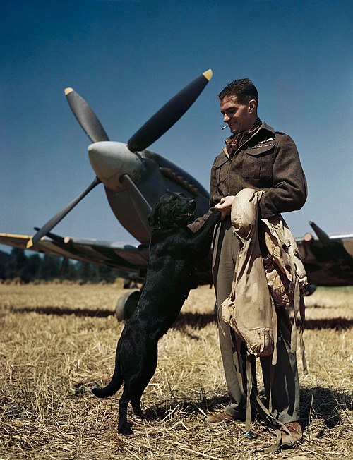 Johnnie Johnson (RAF officer)